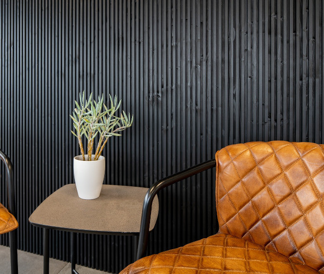 palilleria-abeto-negro-sugi-bai